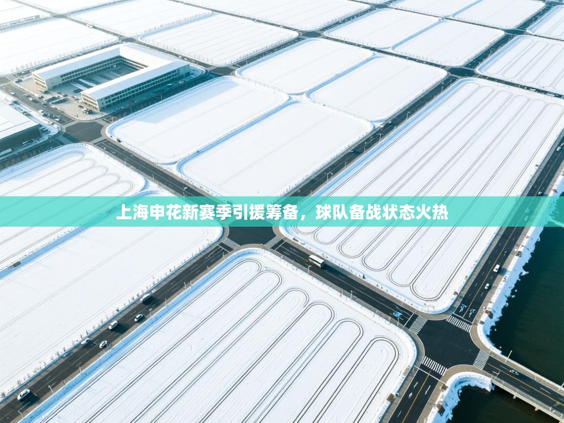 上海申花新赛季引援筹备，球队备战状态火热  第2张