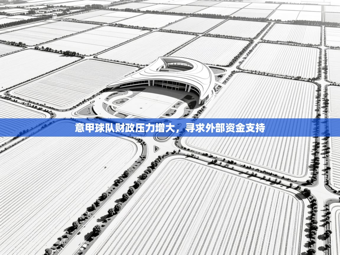 意甲球队财政压力增大,寻求外部资金支持