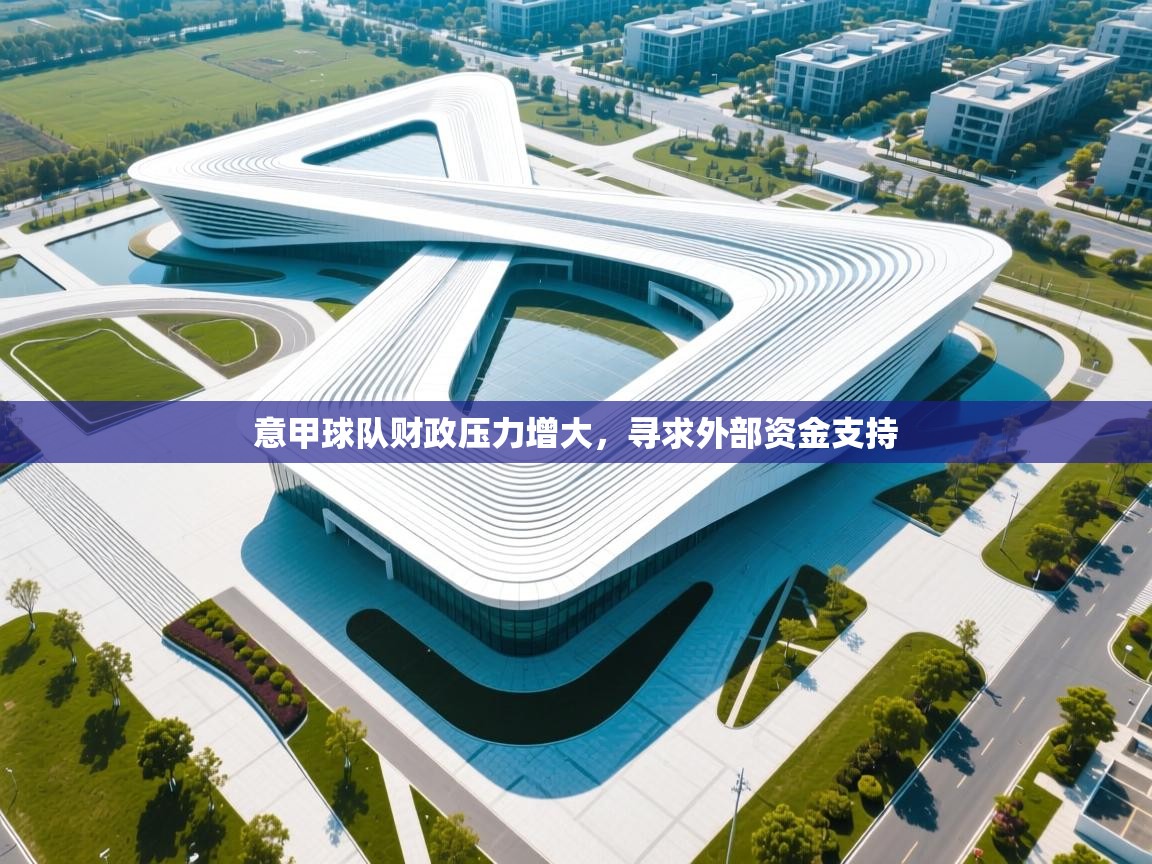 意甲球队财政压力增大，寻求外部资金支持  第2张