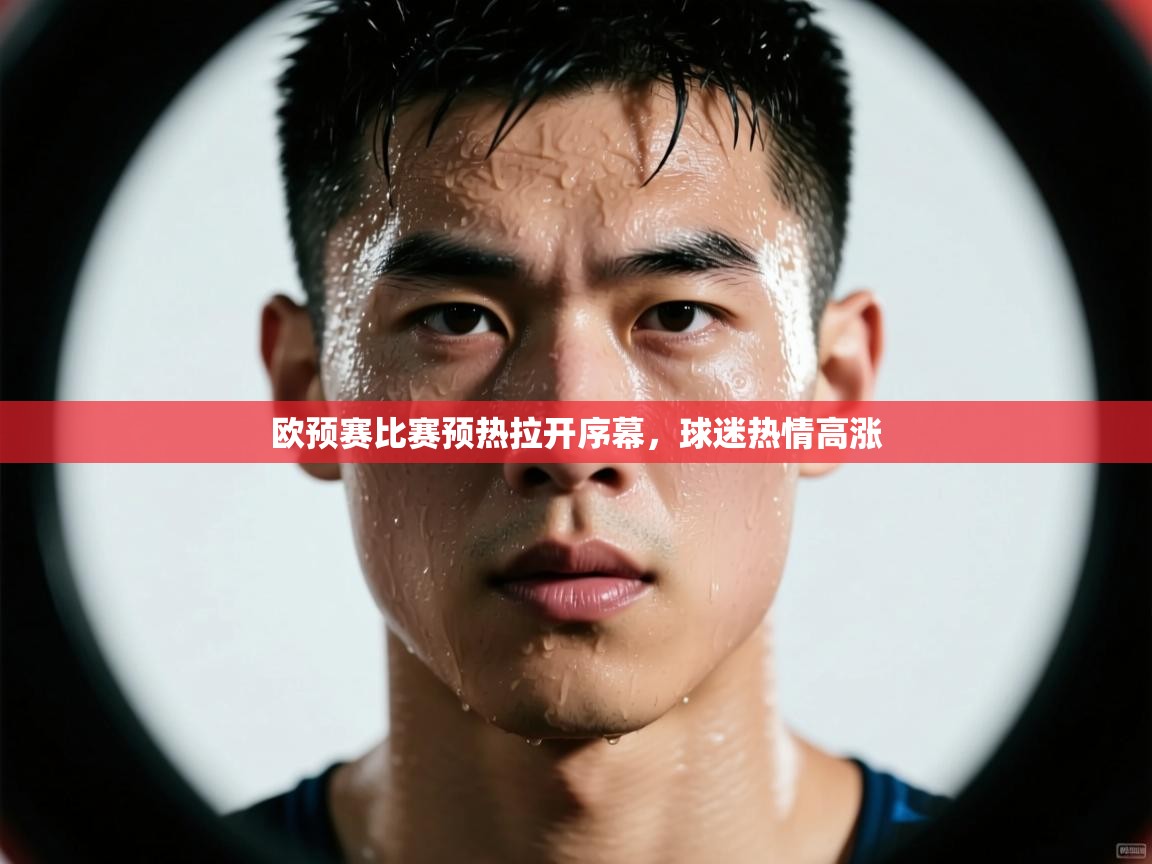 欧预赛比赛预热拉开序幕，球迷热情高涨  第2张